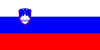 Flag_of_Slovenia.svg